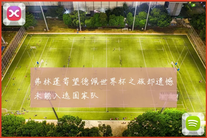 弗林蓬寄望德佩世界杯之旅却遗憾未能入选国家队